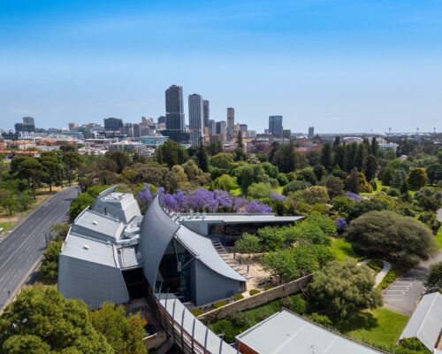NWC Aerial Jacaranda Hero NWC Aerial Jacaranda Hero